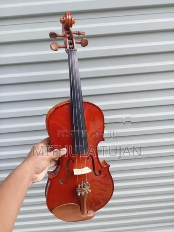 violin (liza)