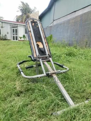 Ab King Pro
