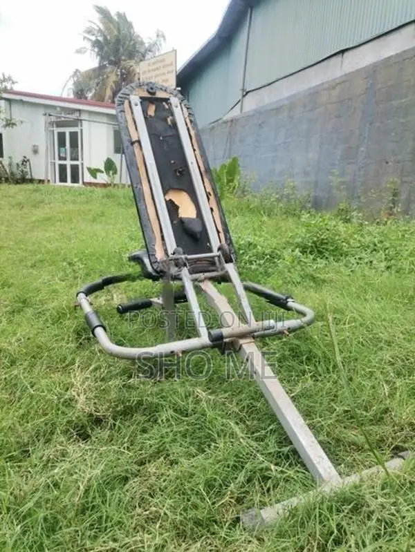 Ab King Pro