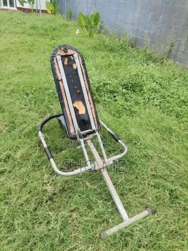 Ab King Pro