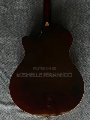 Robinson Guitar