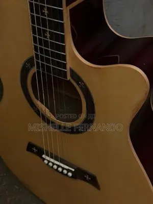 Robinson Guitar