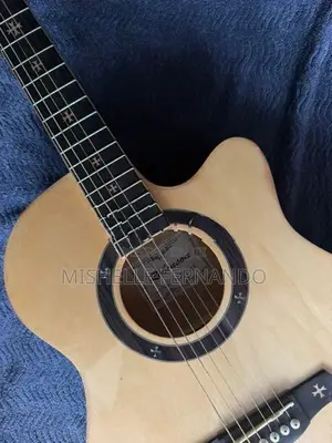 Robinson Guitar