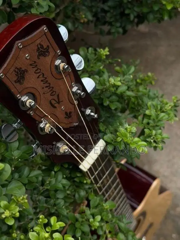 Robinson Guitar