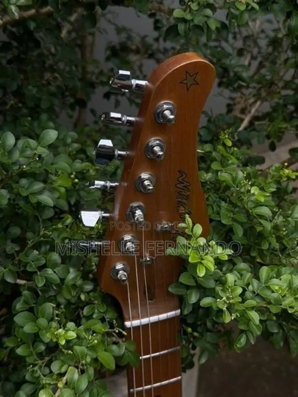 Kaysen Guitar