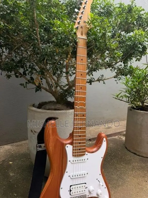 Kaysen Guitar