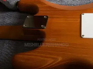 Kaysen Guitar
