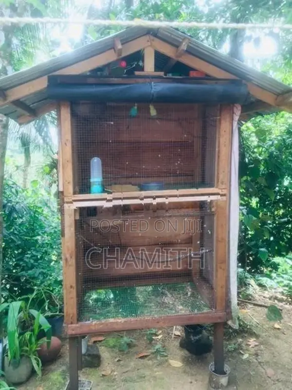 Bird With Cage
