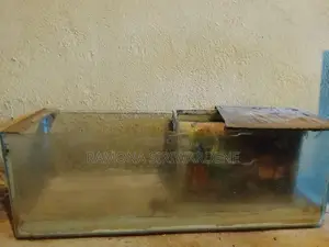 Fish Tank