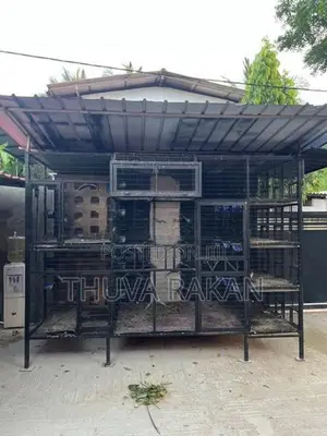 Pura Koodu
