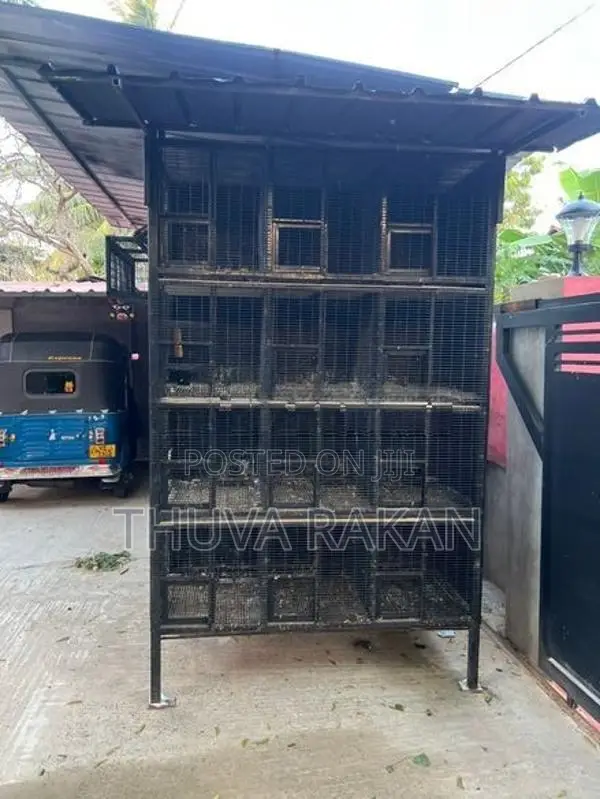 Pura Koodu