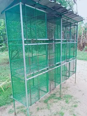 Bird Cage