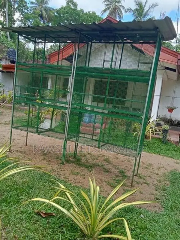 Bird Cage