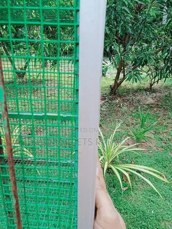 Bird Cage