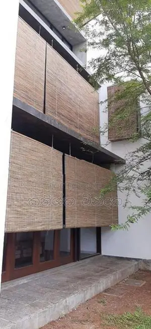 බට පැලලි