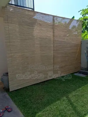 බට පැලලි