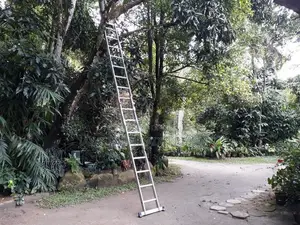Aluminum Folding Ladder 12 Feet (Multi-purpose Ladder)