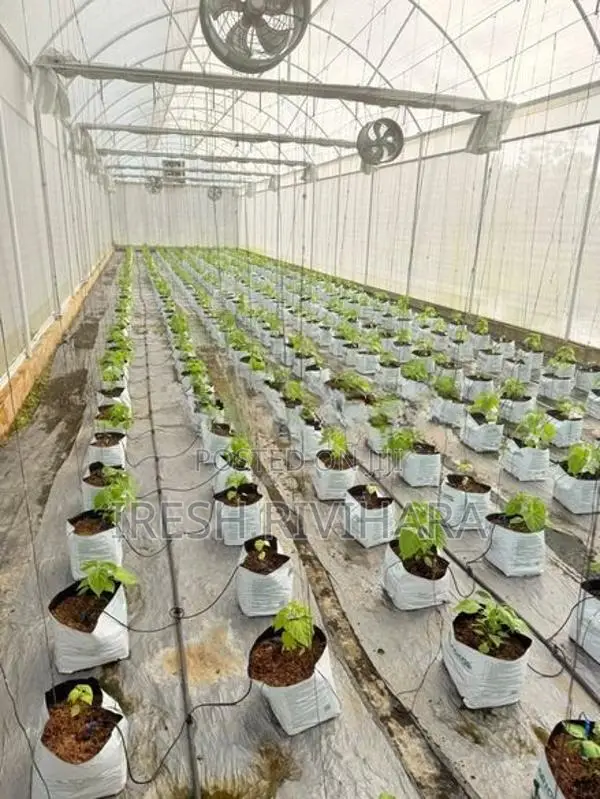 Poly tunnel with automation system