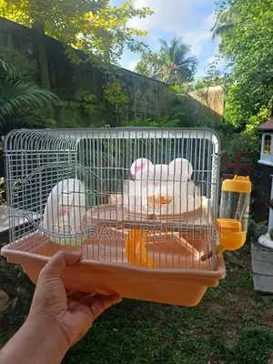 Hamster Cage