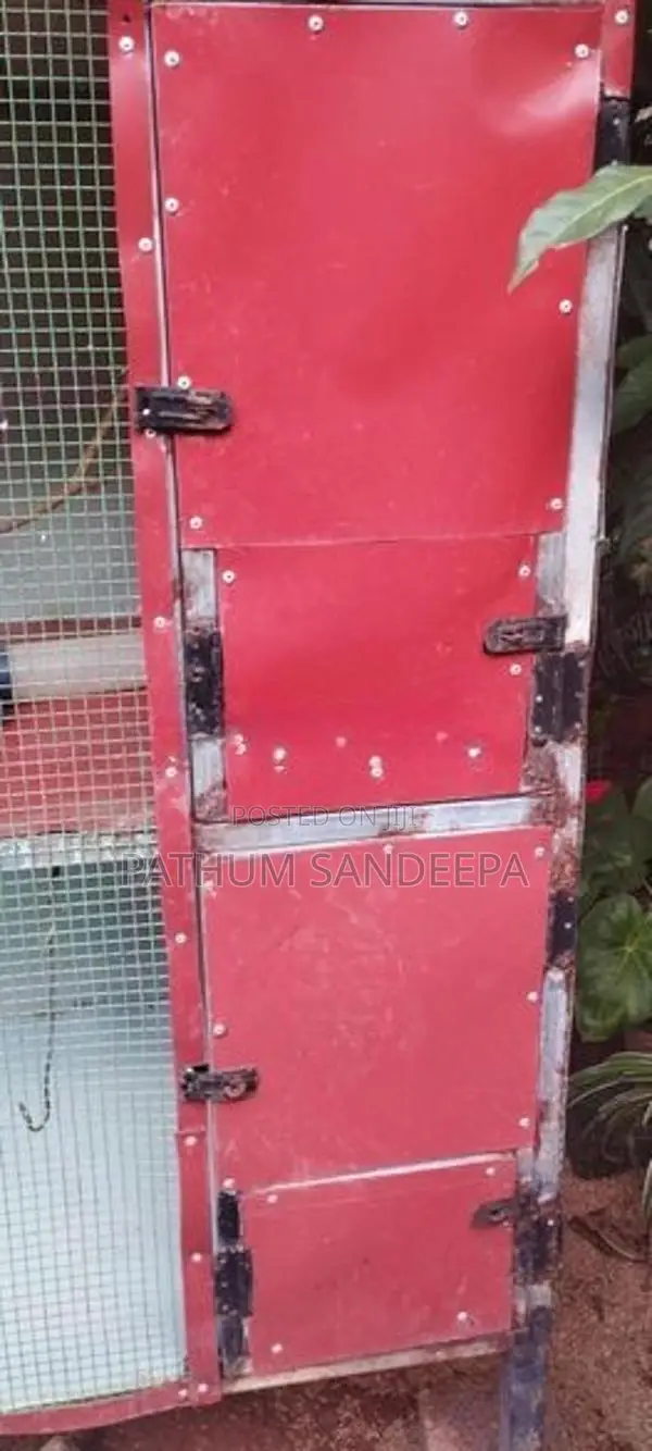 Birds Cage