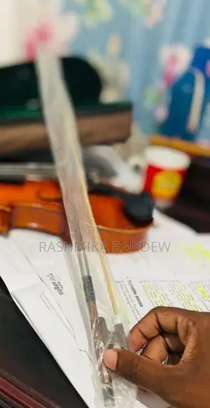 Violin