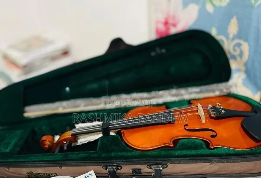 Violin