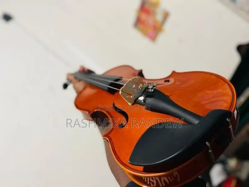 Violin