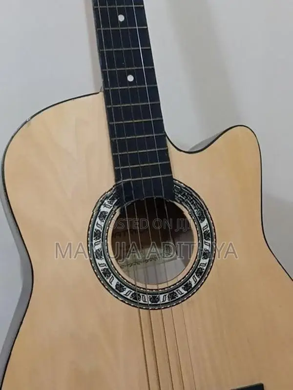 Patriot Steel String Guitar