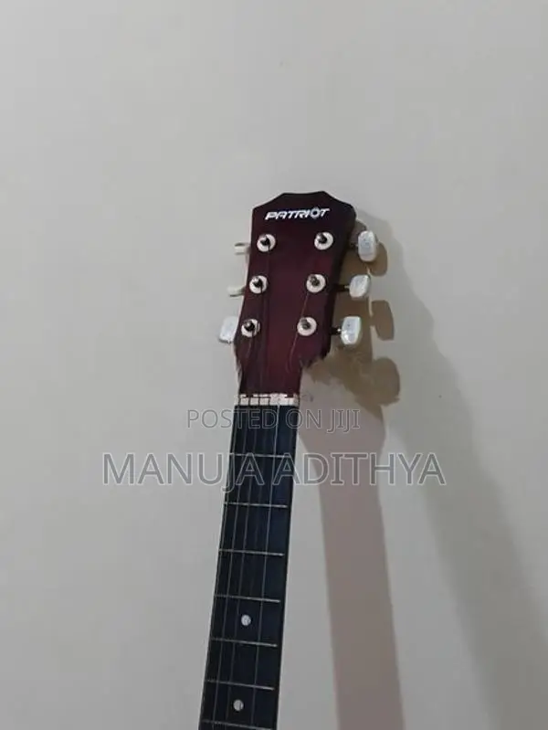 Patriot Steel String Guitar