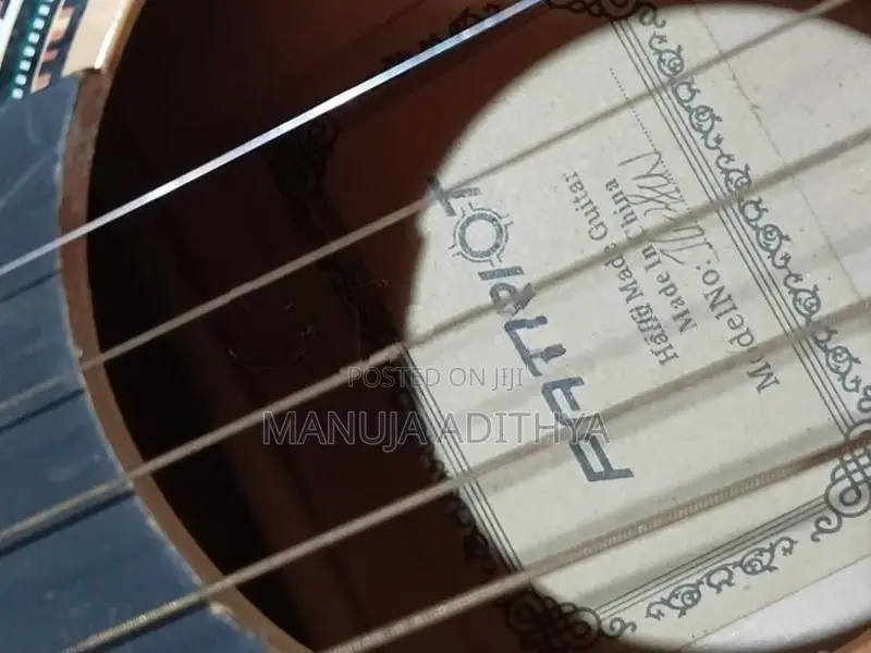 Patriot Steel String Guitar