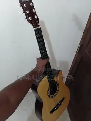 Patriot Steel String Guitar