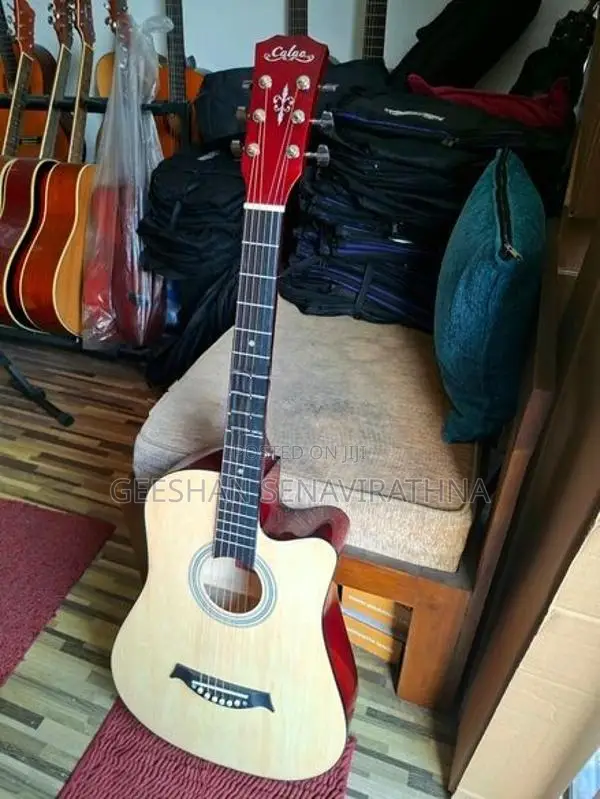 Brand New Acoustic Guitar