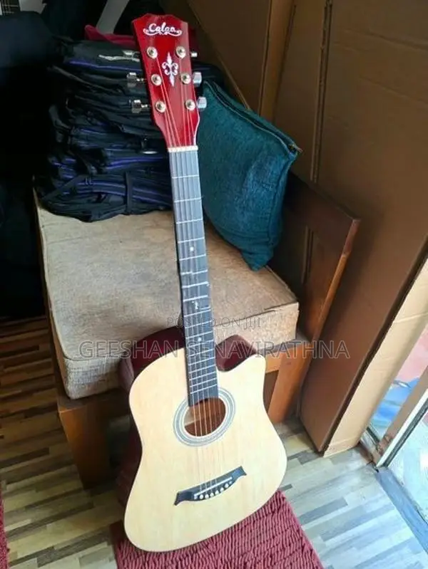 Brand New Acoustic Guitar