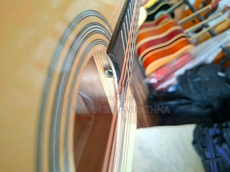 Brand New Acoustic Guitar