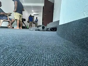 Carpets