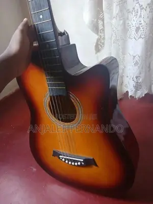 Agelin Acoustic Guitar With Bag New String Set