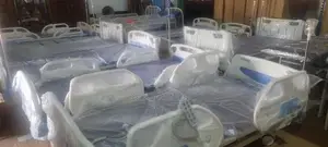 Five-Function Electric Hospital Bed