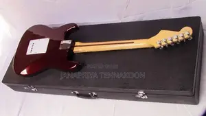 Guitar, Fender Electric Standard Stratocaster