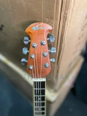 Japan Used Semi Acoustic Guitar