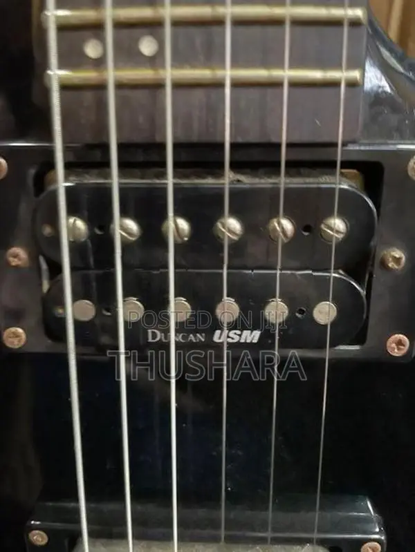 Washburn Electric Guitar DUNCAN USM Pickup.