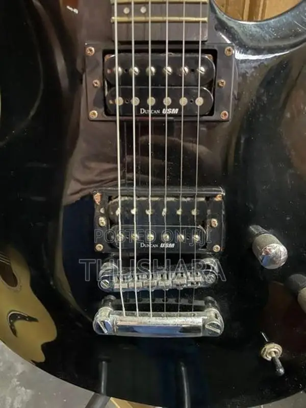 Washburn Electric Guitar DUNCAN USM Pickup.