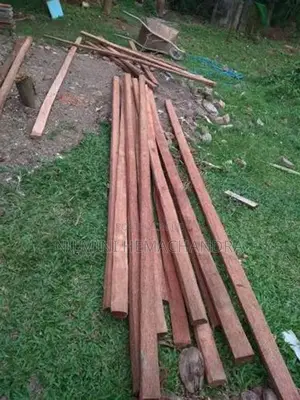 යට ලී, පරාල! අවුරුදු 60 වයසැති පොල් ගස්වල ලී