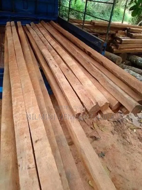 යට ලී, පරාල! අවුරුදු 60 වයසැති පොල් ගස්වල ලී