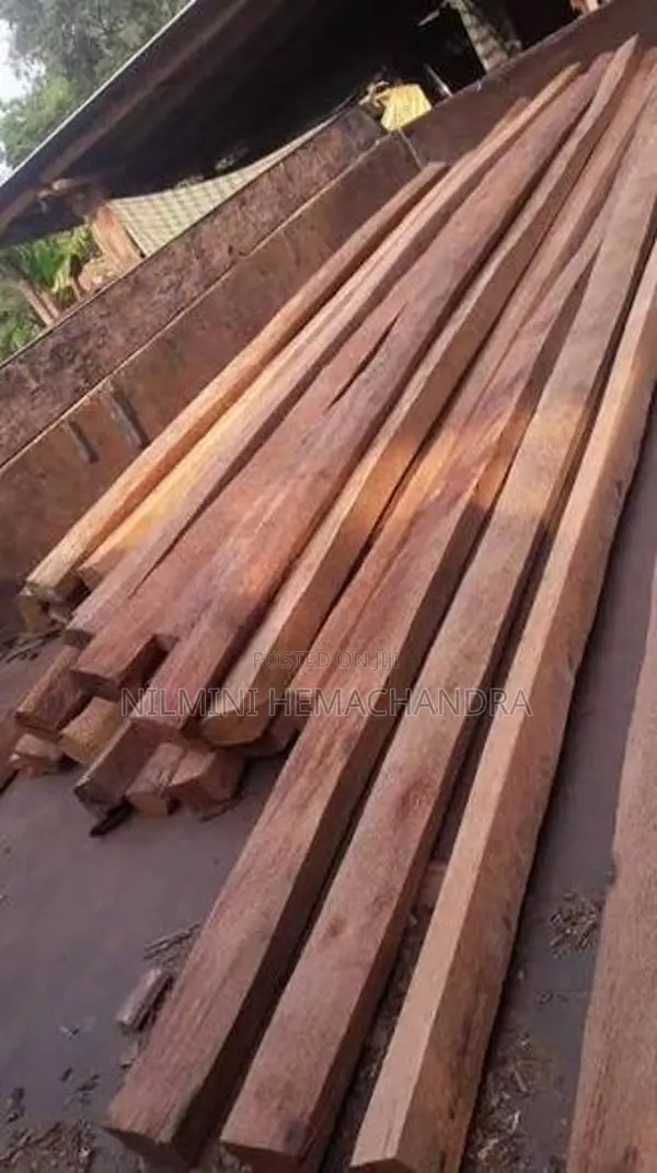 යට ලී, පරාල! අවුරුදු 60 වයසැති පොල් ගස්වල ලී