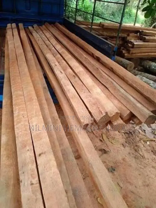 යට ලී, පරාල! අවුරුදු 60 වයසැති පොල් ගස්වල ලී
