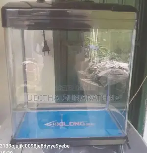 Imported Fish Tank