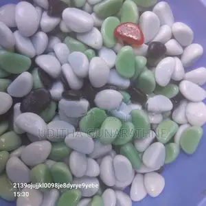 Imported Fish Tank