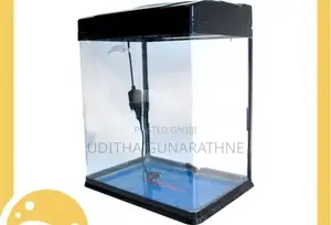 Imported Fish Tank