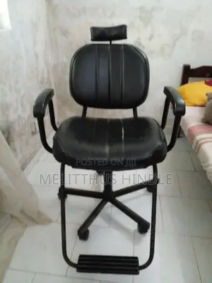 Salon Chair