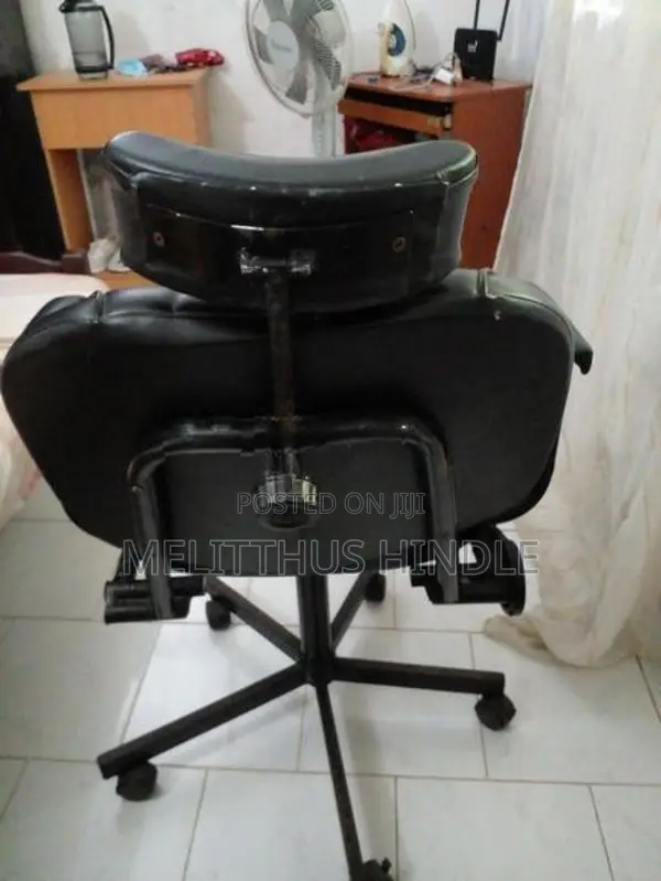 Salon Chair